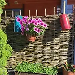 Folwark Malinowy Chrusniak Bisztynek