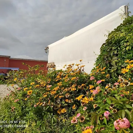Pensjonat Folwark Malinowy Chruśniak