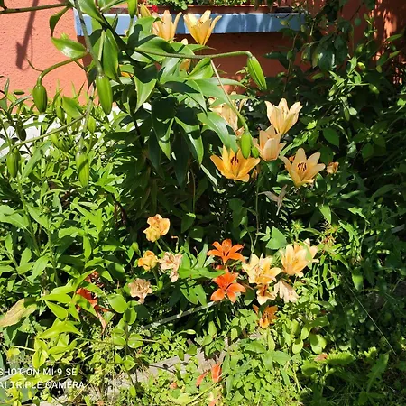 Folwark Malinowy Chruśniak Pensjonat 3*