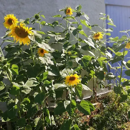 Folwark Malinowy Chruśniak 3*